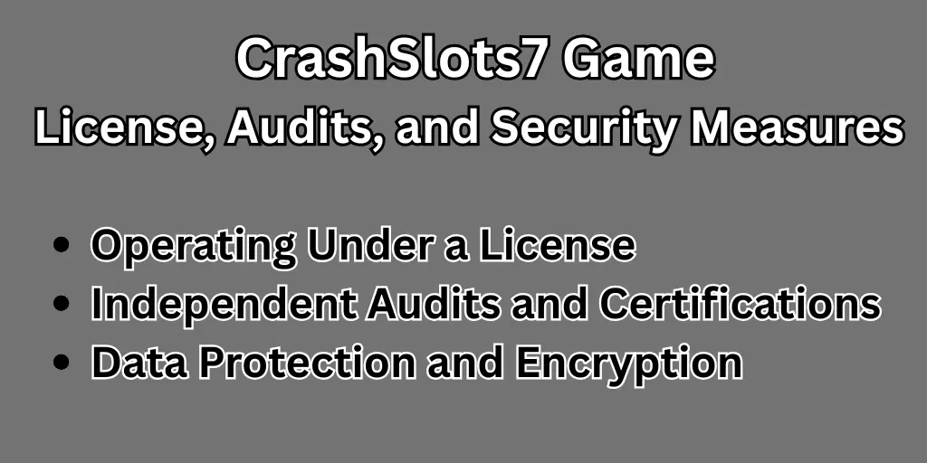 License, Audits, and Security Measures